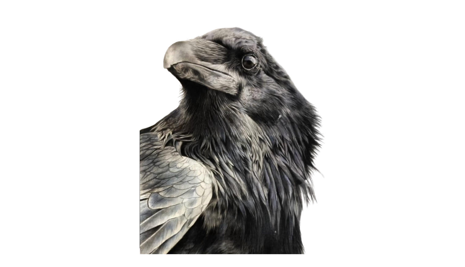 Keepers of the Threshold:Containment, Individuation and The Art of Seeing.